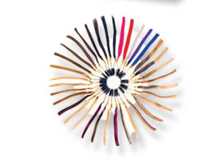 Color Wheel